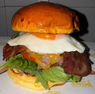 Burger Terra Nova + patatas fritas 