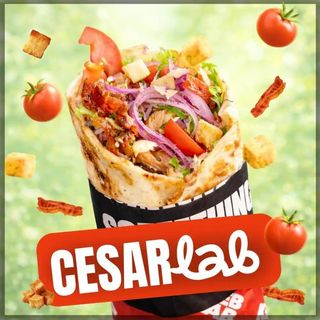 LAWASZ [ 40cm ] - CESARLAB XL