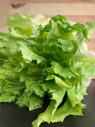 Indivia scarola al kg