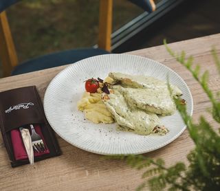 Ćuretina u sosu od domaćeg pesta 350 gr