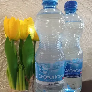 Вода мінеральна "Оболонь" сильногазована 