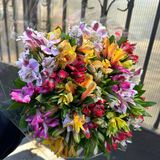 25шт гілок альстромерії