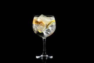 gin tonic