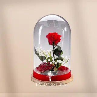 Cupula 1 Rosa Eterna