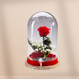 Cupula 1 Rosa Eterna