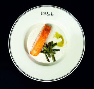 Лосось со спаржей и сливочным соусом