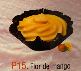 p15.Flor De Mango