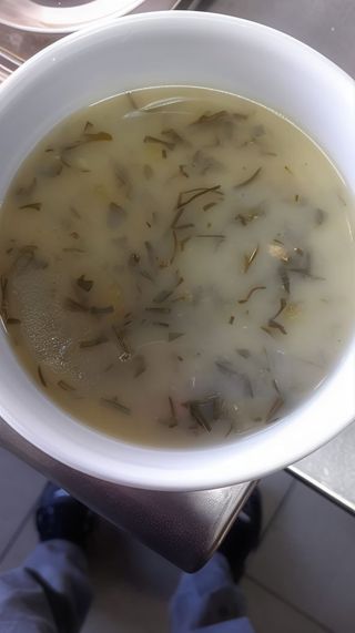 Sopa do Dia