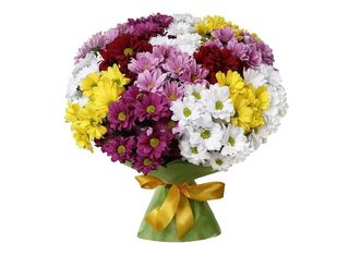 25 Хризантеми, Микс | 1 pieces