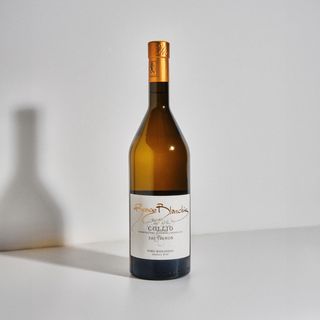 Sauvignon DOC Collio - BIO, Ronco Blanchis