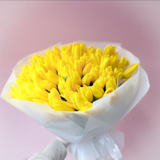 Букет зі 101-го жовтого голландського  тюльпану