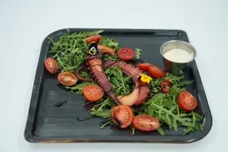 Caracatiţă pe pat de rucola