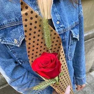 Rosa Sant Jordi