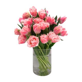 Tulipanes peonias - premium (20 uds)