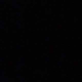 Costata di Fiorentina