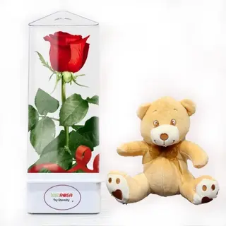 TRY ETERNA &  OSITO DE PELUCHE N20