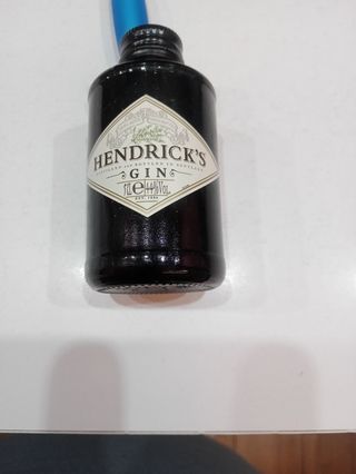 Ginebra Hendricks