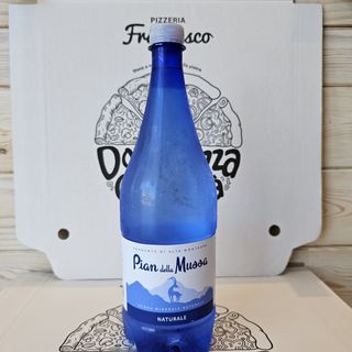 Agua Vilas del turbón 1L