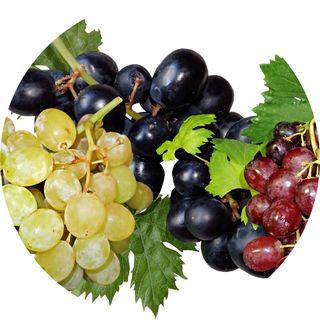 Must de struguri albi - 3 L