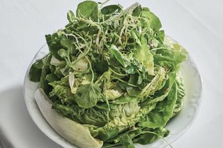 Insalata verde
