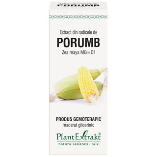 Extract din radicele porumb (ZEA MAYS)