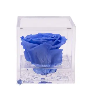 Rosa stabilizzata azzurra M
