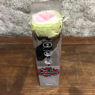 Rosa Eterna Liofilizada Blanca-rosada 27 Cm.