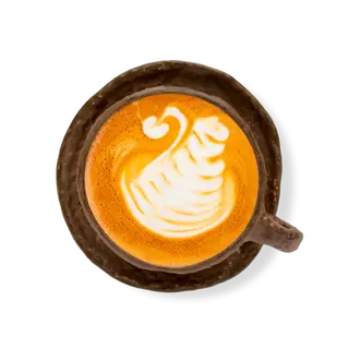 Capuccino Large