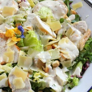 Ensalada De Pollo Marinado