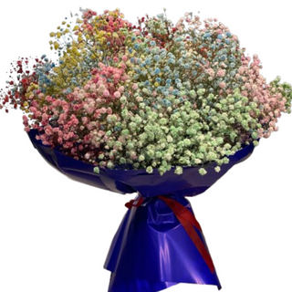 Bukiet gipsówki kolorowej <<S<<