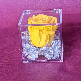 rosa eterna stabilizzata color gialla