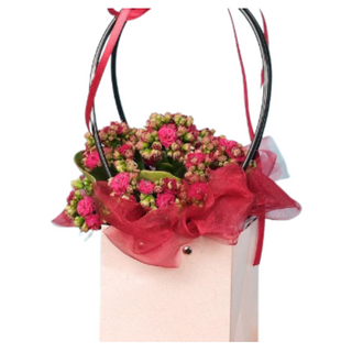 Kwiat doniczkowy w torebce