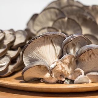Funghi pleurotus 400 gr 