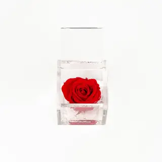 Pequena Flowercube