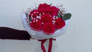 Bukiet Malinowych goździków i gipsówki - 9 szt