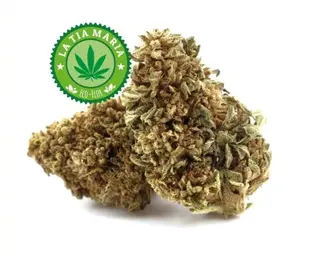 Ecoflor CBD 1Gr