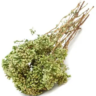 Barattolo origano