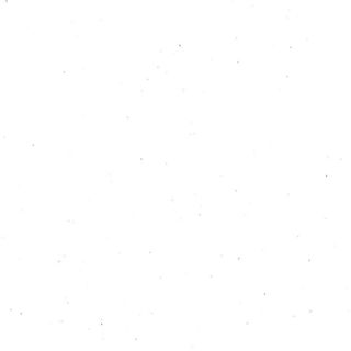 Panettone Artigianale Classico 1Kg