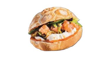Salmone