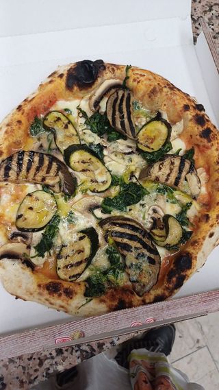 Ortolana maxi