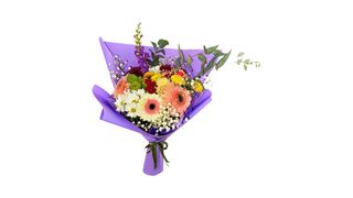 #22 ნათელი ფერები