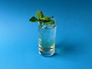 Lemonade apple mint