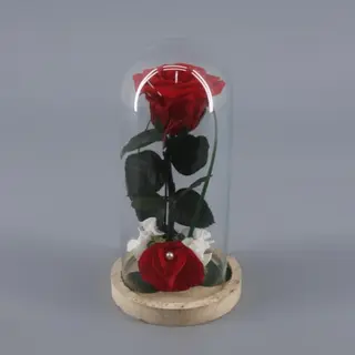 Rosa Presevada Con Cúpula