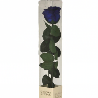Rosa Preservada (Azul)