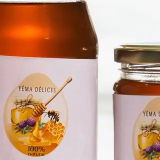 Miel Jujubier 500g
