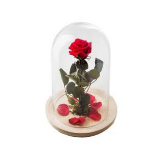 Campana De Rosa Eterna MEDIANA