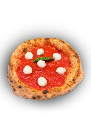 Margherita imbufalita