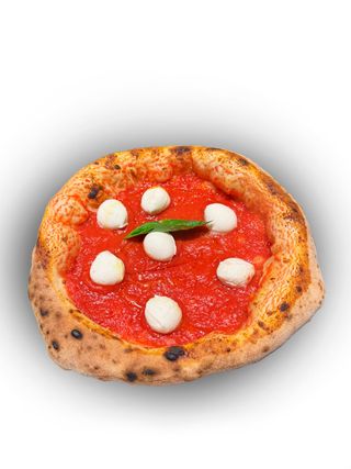 Margherita imbufalita