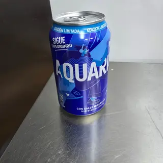 Aquarius lata 