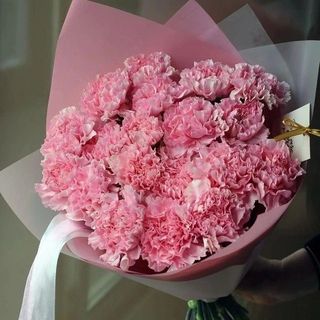 25 różowych goździków